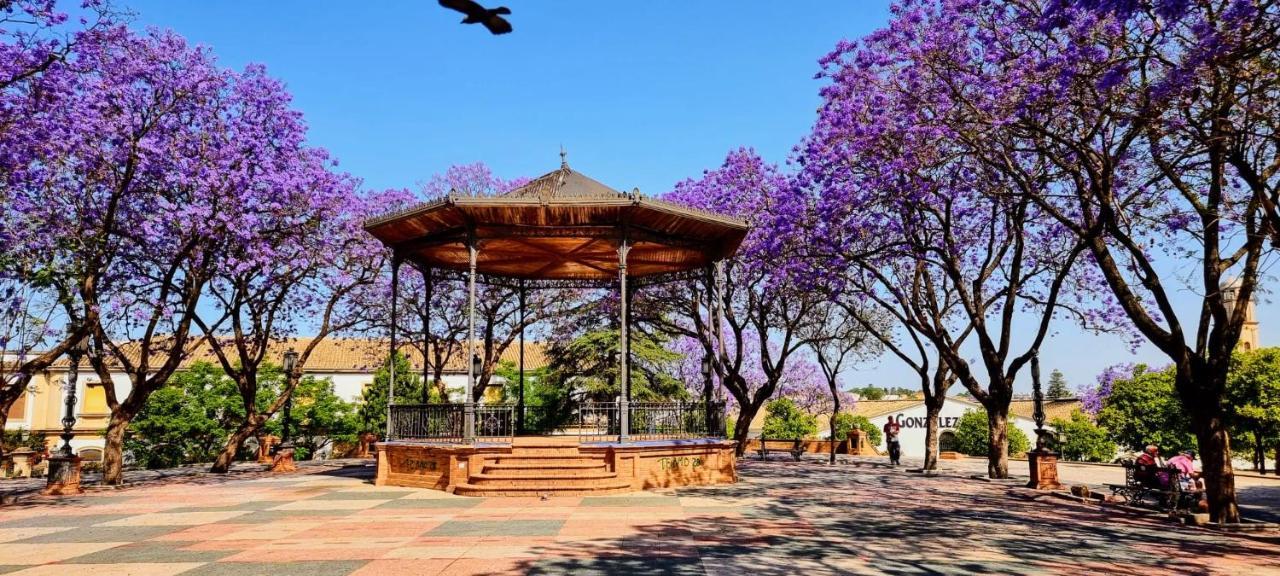 ヘレスAlazan Jerez Iv-Parking Gratis-Wifi-Netflixアパートメント エクステリア 写真